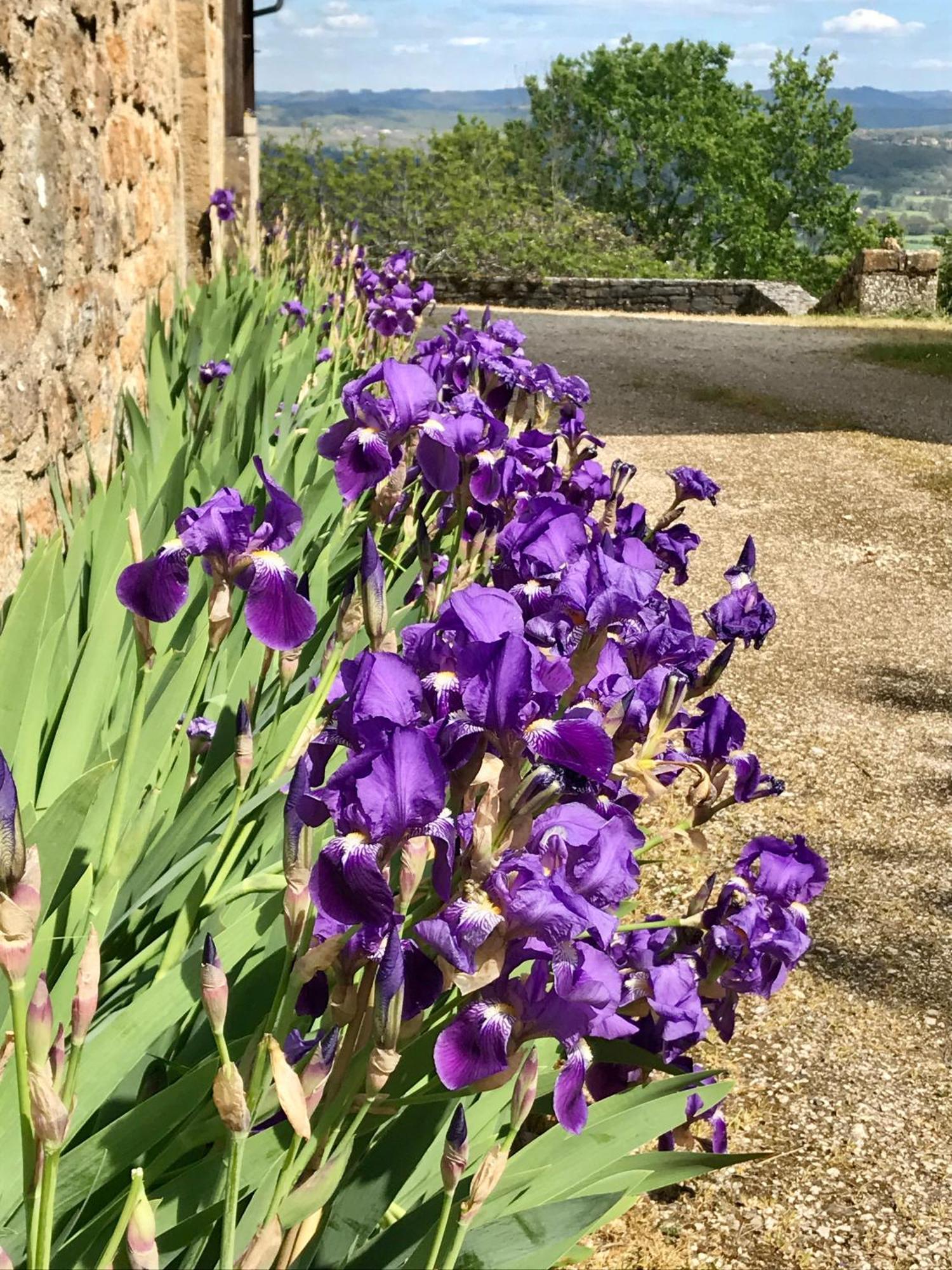 Manoir De Rieuzal Couette-café Loubressac